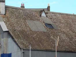 Industrial Sheds: What to spot
